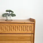 Domus Apartment *